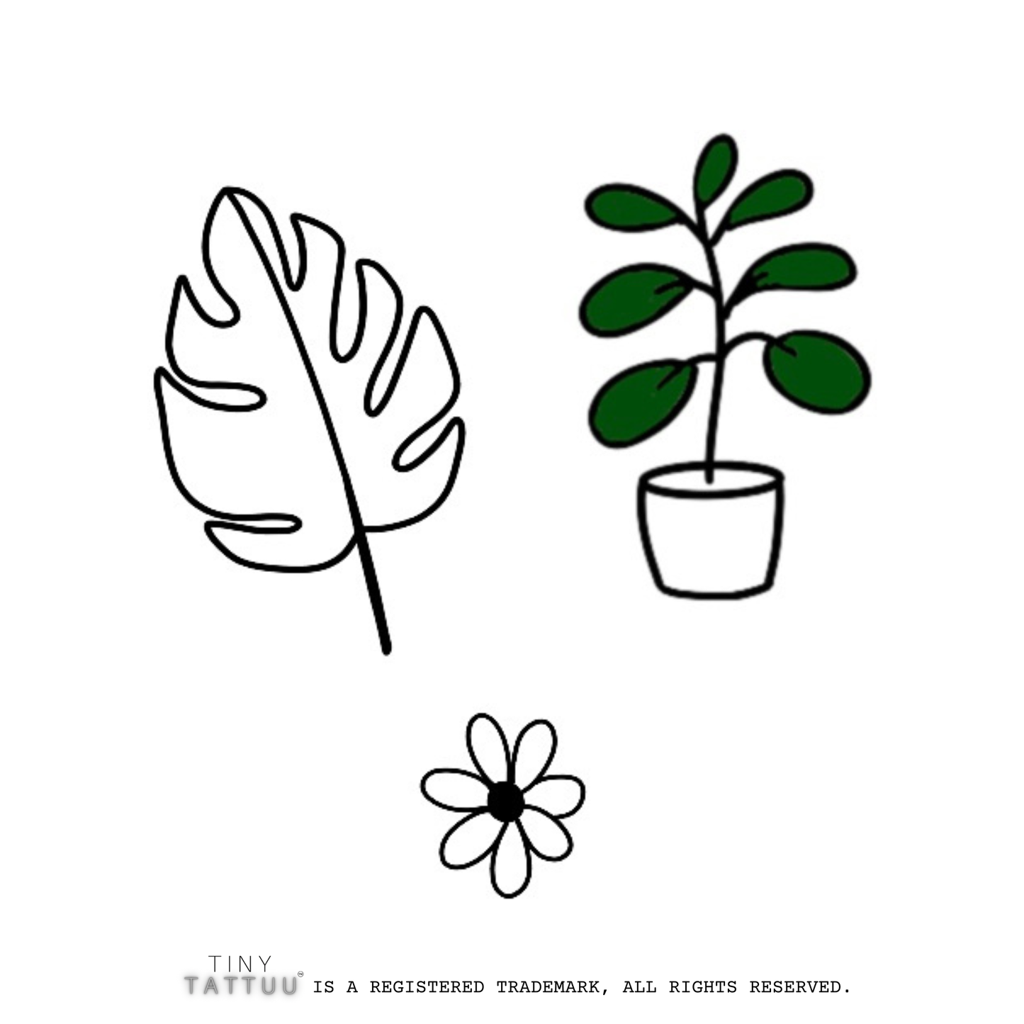 tiny plants temporary tattuu